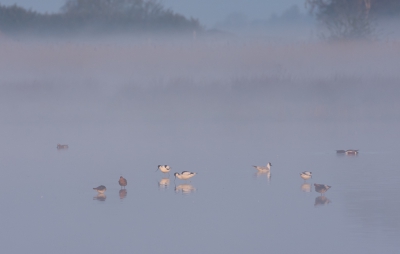 <i class='fa fa-user'></i>&nbsp;Monika&nbsp;|   Kluut&nbsp; <i class='fa fa-eye'>&nbsp;270</i> &nbsp; <i class='fa fa-comment-o'>&nbsp;7</i>