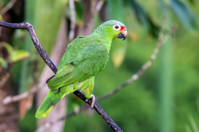 <i class='fa fa-user'></i>&nbsp;martin lok&nbsp;|   Ivooraratinga&nbsp; <i class='fa fa-eye'>&nbsp;187</i> &nbsp; <i class='fa fa-comment-o'>&nbsp;2</i>