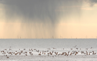 <i class='fa fa-user'></i>&nbsp;ep&nbsp;|   Rosse Grutto&nbsp; <i class='fa fa-eye'>&nbsp;402</i> &nbsp;<i class='fa fa-thumbs-up'>&nbsp;6</i> &nbsp; <i class='fa fa-comment-o'>&nbsp;8</i>