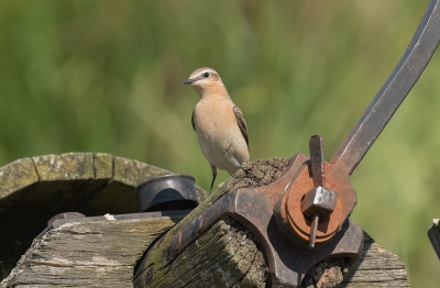 <i class='fa fa-user'></i>&nbsp;pabos&nbsp;|   Tapuit&nbsp; <i class='fa fa-eye'>&nbsp;297</i> &nbsp;<i class='fa fa-thumbs-up'>&nbsp;1</i> &nbsp; <i class='fa fa-comment-o'>&nbsp;6</i>