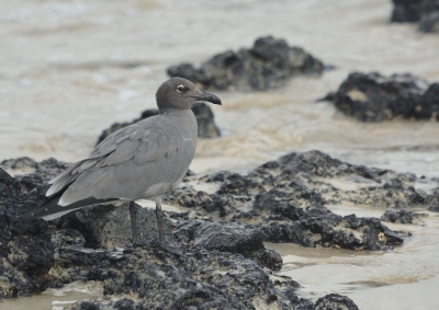 <i class='fa fa-user'></i>&nbsp;ko katsman&nbsp;|   Lavameeuw&nbsp; <i class='fa fa-eye'>&nbsp;196</i> &nbsp; <i class='fa fa-comment-o'>&nbsp;2</i>