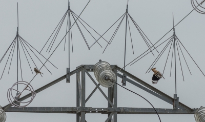 <i class='fa fa-user'></i>&nbsp;pabos&nbsp;|   Hop&nbsp; <i class='fa fa-eye'>&nbsp;381</i> &nbsp;<i class='fa fa-thumbs-up'>&nbsp;1</i> &nbsp; <i class='fa fa-comment-o'>&nbsp;4</i>