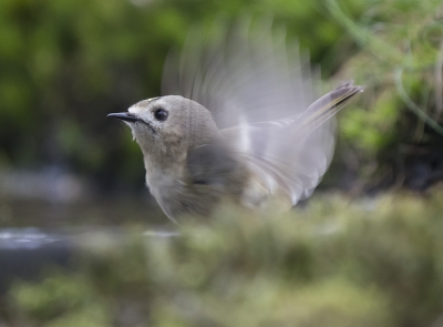 <i class='fa fa-user'></i>&nbsp;Astel&nbsp;|   Goudhaan&nbsp; <i class='fa fa-eye'>&nbsp;310</i> &nbsp;<i class='fa fa-thumbs-up'>&nbsp;1</i> &nbsp; <i class='fa fa-comment-o'>&nbsp;4</i>