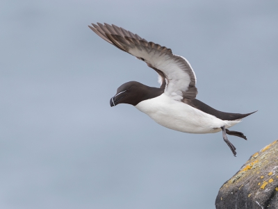 <i class='fa fa-user'></i>&nbsp;Eric van Roon&nbsp;|   Alk&nbsp; <i class='fa fa-eye'>&nbsp;315</i> &nbsp;<i class='fa fa-thumbs-up'>&nbsp;3</i> &nbsp; <i class='fa fa-comment-o'>&nbsp;3</i>