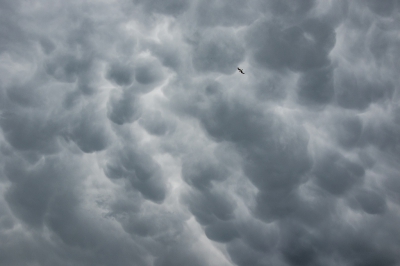 <i class='fa fa-user'></i>&nbsp;Henri Aantjes&nbsp;|   Kokmeeuw&nbsp; <i class='fa fa-eye'>&nbsp;409</i> &nbsp;<i class='fa fa-thumbs-up'>&nbsp;4</i> &nbsp; <i class='fa fa-comment-o'>&nbsp;7</i>