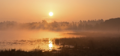 <i class='fa fa-user'></i>&nbsp;Reinier van den Born&nbsp;|   Grauwe Gans&nbsp; <i class='fa fa-eye'>&nbsp;224</i> &nbsp;<i class='fa fa-thumbs-up'>&nbsp;2</i> &nbsp; <i class='fa fa-comment-o'>&nbsp;9</i>