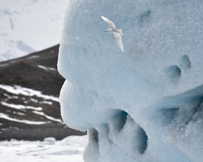 <i class='fa fa-user'></i>&nbsp;henkdikkers&nbsp;|   Kleine Burgemeester&nbsp; <i class='fa fa-eye'>&nbsp;309</i> &nbsp;<i class='fa fa-thumbs-up'>&nbsp;3</i> &nbsp; <i class='fa fa-comment-o'>&nbsp;2</i>