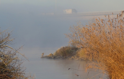 <i class='fa fa-user'></i>&nbsp;sieb&nbsp;|   Blauwe Reiger&nbsp; <i class='fa fa-eye'>&nbsp;421</i> &nbsp;<i class='fa fa-thumbs-up'>&nbsp;6</i> &nbsp; <i class='fa fa-comment-o'>&nbsp;17</i>