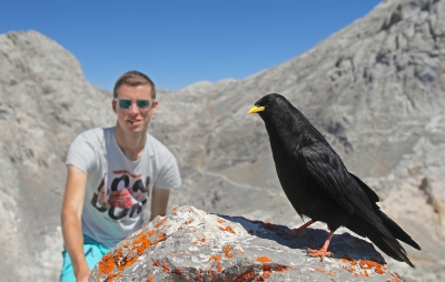 <i class='fa fa-user'></i>&nbsp;thijsglastra&nbsp;|   Alpenkauw&nbsp; <i class='fa fa-eye'>&nbsp;541</i> &nbsp;<i class='fa fa-thumbs-up'>&nbsp;10</i> &nbsp; <i class='fa fa-comment-o'>&nbsp;9</i>