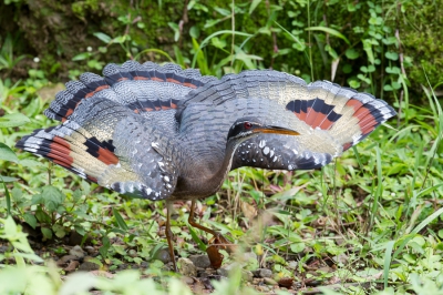 <i class='fa fa-user'></i>&nbsp;Paul van Giersbergen&nbsp;|   Zonneral&nbsp; <i class='fa fa-eye'>&nbsp;497</i> &nbsp;<i class='fa fa-thumbs-up'>&nbsp;2</i> &nbsp; <i class='fa fa-comment-o'>&nbsp;7</i>
