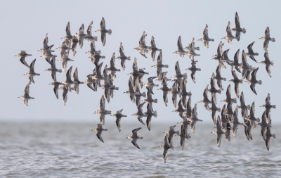 <i class='fa fa-user'></i>&nbsp;ep&nbsp;|   Kanoet&nbsp; <i class='fa fa-eye'>&nbsp;444</i> &nbsp;<i class='fa fa-thumbs-up'>&nbsp;3</i> &nbsp; <i class='fa fa-comment-o'>&nbsp;7</i>