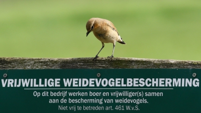 <i class='fa fa-user'></i>&nbsp;Rob Belterman&nbsp;|   Tapuit&nbsp; <i class='fa fa-eye'>&nbsp;232</i> &nbsp;<i class='fa fa-thumbs-up'>&nbsp;6</i> &nbsp; <i class='fa fa-comment-o'>&nbsp;17</i>