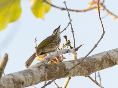 <i class='fa fa-user'></i>&nbsp;Paul van Giersbergen&nbsp;|   Rasterhoningeter&nbsp; <i class='fa fa-eye'>&nbsp;226</i> &nbsp; <i class='fa fa-comment-o'>&nbsp;0</i>