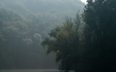 <i class='fa fa-user'></i>&nbsp;arnold merckx&nbsp;|   Aalscholver&nbsp; <i class='fa fa-eye'>&nbsp;374</i> &nbsp;<i class='fa fa-thumbs-up'>&nbsp;2</i> &nbsp; <i class='fa fa-comment-o'>&nbsp;11</i>