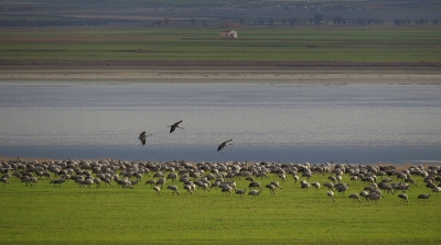 <i class='fa fa-user'></i>&nbsp;sieb&nbsp;|   Kraanvogel&nbsp; <i class='fa fa-eye'>&nbsp;424</i> &nbsp;<i class='fa fa-thumbs-up'>&nbsp;2</i> &nbsp; <i class='fa fa-comment-o'>&nbsp;8</i>