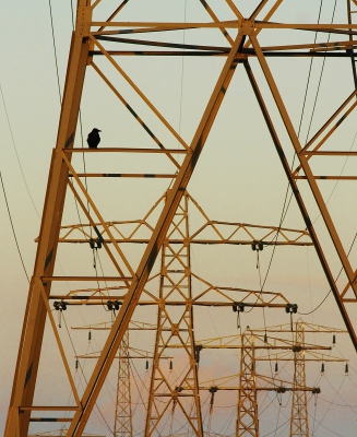 <i class='fa fa-user'></i>&nbsp;Fons Hoiting&nbsp;|   Zwarte Kraai&nbsp; <i class='fa fa-eye'>&nbsp;364</i> &nbsp;<i class='fa fa-thumbs-up'>&nbsp;5</i> &nbsp; <i class='fa fa-comment-o'>&nbsp;14</i>