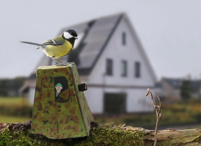 <i class='fa fa-user'></i>&nbsp;thijsglastra&nbsp;|   Koolmees&nbsp; <i class='fa fa-eye'>&nbsp;484</i> &nbsp;<i class='fa fa-thumbs-up'>&nbsp;14</i> &nbsp; <i class='fa fa-comment-o'>&nbsp;25</i>