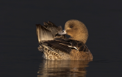 <i class='fa fa-user'></i>&nbsp;ep&nbsp;|   Smient&nbsp; <i class='fa fa-eye'>&nbsp;367</i> &nbsp;<i class='fa fa-thumbs-up'>&nbsp;3</i> &nbsp; <i class='fa fa-comment-o'>&nbsp;22</i>