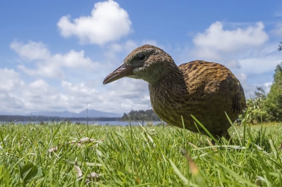 <i class='fa fa-user'></i>&nbsp;Bert Ooms&nbsp;|   Weka&nbsp; <i class='fa fa-eye'>&nbsp;401</i> &nbsp;<i class='fa fa-thumbs-up'>&nbsp;6</i> &nbsp; <i class='fa fa-comment-o'>&nbsp;15</i>