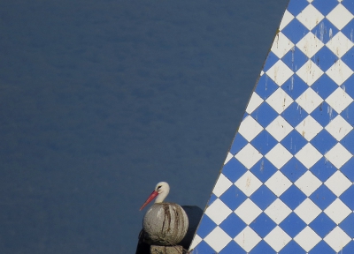 <i class='fa fa-user'></i>&nbsp;sieb&nbsp;|   Ooievaar&nbsp; <i class='fa fa-eye'>&nbsp;480</i> &nbsp;<i class='fa fa-thumbs-up'>&nbsp;5</i> &nbsp; <i class='fa fa-comment-o'>&nbsp;16</i>