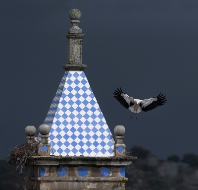 <i class='fa fa-user'></i>&nbsp;Eric van Roon&nbsp;|   Ooievaar&nbsp; <i class='fa fa-eye'>&nbsp;533</i> &nbsp;<i class='fa fa-thumbs-up'>&nbsp;3</i> &nbsp; <i class='fa fa-comment-o'>&nbsp;11</i>