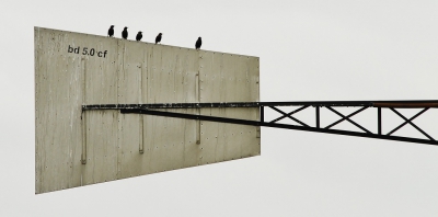 <i class='fa fa-user'></i>&nbsp;Fons Hoiting&nbsp;|   Spreeuw&nbsp; <i class='fa fa-eye'>&nbsp;457</i> &nbsp;<i class='fa fa-thumbs-up'>&nbsp;6</i> &nbsp; <i class='fa fa-comment-o'>&nbsp;14</i>