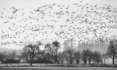 <i class='fa fa-user'></i>&nbsp;nelappelmelk&nbsp;|   Kolgans&nbsp; <i class='fa fa-eye'>&nbsp;559</i> &nbsp;<i class='fa fa-thumbs-up'>&nbsp;5</i> &nbsp; <i class='fa fa-comment-o'>&nbsp;10</i>