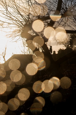 <i class='fa fa-user'></i>&nbsp;P.Teune&nbsp;|   Grote Bonte Specht&nbsp; <i class='fa fa-eye'>&nbsp;810</i> &nbsp;<i class='fa fa-thumbs-up'>&nbsp;23</i> &nbsp; <i class='fa fa-comment-o'>&nbsp;25</i>