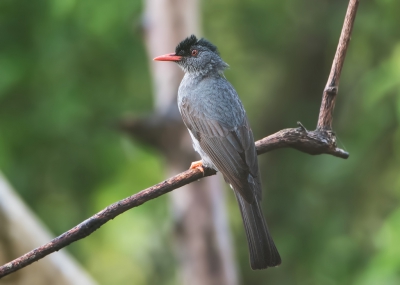 <i class='fa fa-user'></i>&nbsp;martin lok&nbsp;|   Ghatsbuulbuul&nbsp; <i class='fa fa-eye'>&nbsp;218</i> &nbsp; <i class='fa fa-comment-o'>&nbsp;3</i>