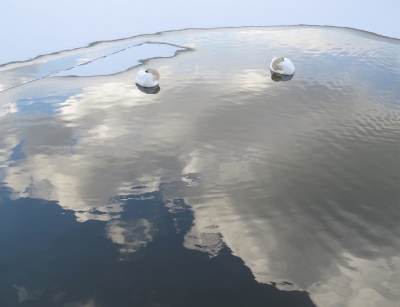 <i class='fa fa-user'></i>&nbsp;sieb&nbsp;|   Knobbelzwaan&nbsp; <i class='fa fa-eye'>&nbsp;1241</i> &nbsp;<i class='fa fa-thumbs-up'>&nbsp;47</i> &nbsp; <i class='fa fa-comment-o'>&nbsp;48</i>