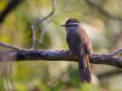 <i class='fa fa-user'></i>&nbsp;Paul van Giersbergen&nbsp;|   Palanilijstergaai&nbsp; <i class='fa fa-eye'>&nbsp;236</i> &nbsp; <i class='fa fa-comment-o'>&nbsp;1</i>