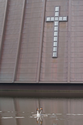 <i class='fa fa-user'></i>&nbsp;Peter Stam&nbsp;|   Fuut&nbsp; <i class='fa fa-eye'>&nbsp;581</i> &nbsp;<i class='fa fa-thumbs-up'>&nbsp;11</i> &nbsp; <i class='fa fa-comment-o'>&nbsp;21</i>