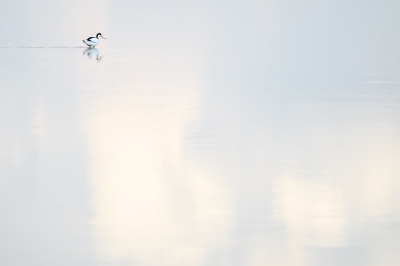 Een keer wat experimenteren met de compositie. Ik vond vooral de wolken zo mooi reflecteren in het bijna rimpelloze water. Is het wat of is het niks?