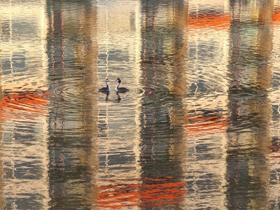 <i class='fa fa-user'></i> sieb |   Fuut  <i class='fa fa-eye'> 753</i>  <i class='fa fa-thumbs-up'> 24</i>   <i class='fa fa-comment-o'> 24</i>