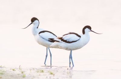 <i class='fa fa-user'></i> Monika |   Kluut  <i class='fa fa-eye'> 323</i>   <i class='fa fa-comment-o'> 7</i>