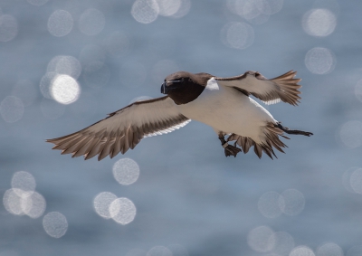 <i class='fa fa-user'></i> Celly |   Alk  <i class='fa fa-eye'> 322</i>  <i class='fa fa-thumbs-up'> 4</i>   <i class='fa fa-comment-o'> 7</i>