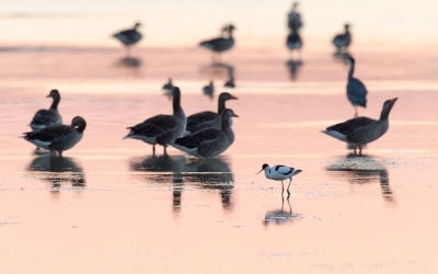 <i class='fa fa-user'></i> vanmarle |   Kluut  <i class='fa fa-eye'> 232</i>  <i class='fa fa-thumbs-up'> 1</i>   <i class='fa fa-comment-o'> 9</i>