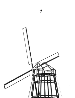 <i class='fa fa-user'></i> Fons Hoiting |   Gierzwaluw  <i class='fa fa-eye'> 516</i>  <i class='fa fa-thumbs-up'> 16</i>   <i class='fa fa-comment-o'> 21</i>