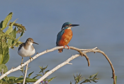 <i class='fa fa-user'></i> Gejo Wassink |   Oeverloper  <i class='fa fa-eye'> 506</i>  <i class='fa fa-thumbs-up'> 1</i>   <i class='fa fa-comment-o'> 13</i>