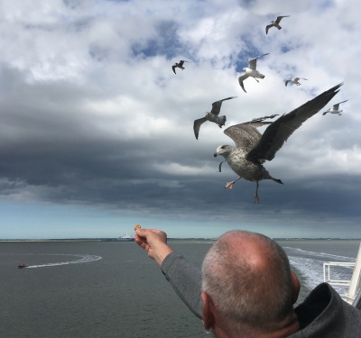 <i class='fa fa-user'></i> corvanspijk |   Zilvermeeuw  <i class='fa fa-eye'> 320</i>   <i class='fa fa-comment-o'> 5</i>