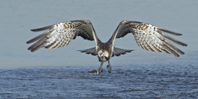 <i class='fa fa-user'></i> anevanrees |   Visarend  <i class='fa fa-eye'> 634</i>  <i class='fa fa-thumbs-up'> 26</i>   <i class='fa fa-comment-o'> 16</i>