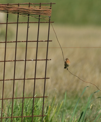 <i class='fa fa-user'></i> Ruud Scherpenisse |   Paapje  <i class='fa fa-eye'> 293</i>  <i class='fa fa-thumbs-up'> 2</i>   <i class='fa fa-comment-o'> 9</i>