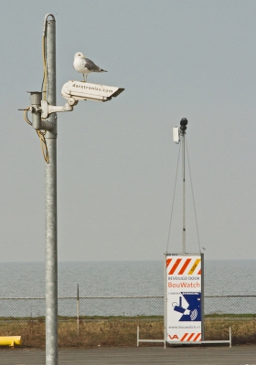 Dit is een al wat ouder foto, die ik vorig jaar gemaakt heb, als onderdeel van een opdracht tijdens een cursus vogelfotografie. De opdracht was: Maak een 'foto met een verhaal'. Hierbij is de vogel slechts een (klein) onderdeel van de omgeving.
Over het 'verhaal' dat ik erin zie, lijkt me geen toelichting nodig.