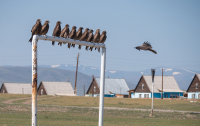 <i class='fa fa-user'></i> jee |   Zwarte Wouw  <i class='fa fa-eye'> 476</i>  <i class='fa fa-thumbs-up'> 14</i>   <i class='fa fa-comment-o'> 15</i>