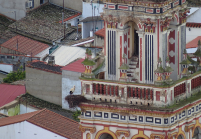 <i class='fa fa-user'></i> sieb |   Ooievaar  <i class='fa fa-eye'> 384</i>  <i class='fa fa-thumbs-up'> 7</i>   <i class='fa fa-comment-o'> 7</i>