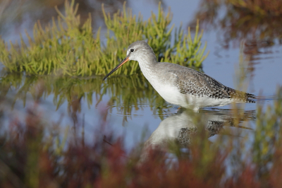 <i class='fa fa-user'></i> Ben Reitsma |   Zwarte Ruiter  <i class='fa fa-eye'> 227</i>  <i class='fa fa-thumbs-up'> 2</i>   <i class='fa fa-comment-o'> 2</i>