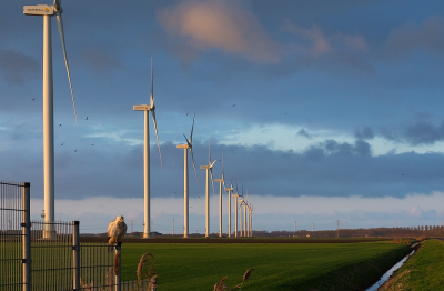 <i class='fa fa-user'></i> Wijnand van Buuren |   Buizerd  <i class='fa fa-eye'> 392</i>  <i class='fa fa-thumbs-up'> 7</i>   <i class='fa fa-comment-o'> 13</i>