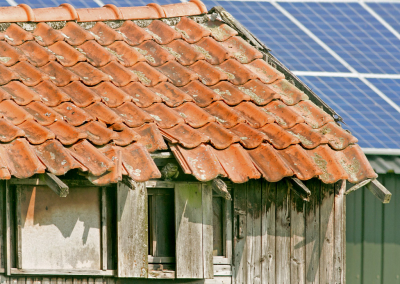 Al fietsend ga ik mijn steenuilenplekjes af. Zit die er nu wel of niet?
De schuur erachter  is voorzien van zonnepanelen. Het idyllische is er wat af. 
Terwijl ik wat zit te turen komt er wat beweging. Niet alleen ik ben nieuwsgierig!