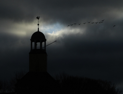 <i class='fa fa-user'></i> Fons Hoiting |   Grauwe Gans  <i class='fa fa-eye'> 385</i>  <i class='fa fa-thumbs-up'> 18</i>   <i class='fa fa-comment-o'> 22</i>