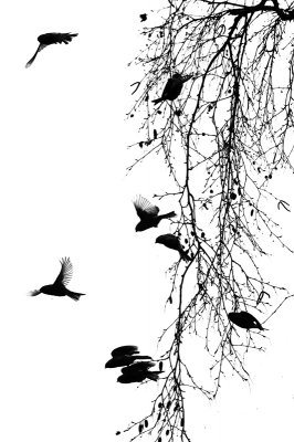 <i class='fa fa-user'></i> nelappelmelk |   Sijs  <i class='fa fa-eye'> 256</i>  <i class='fa fa-thumbs-up'> 5</i>   <i class='fa fa-comment-o'> 6</i>